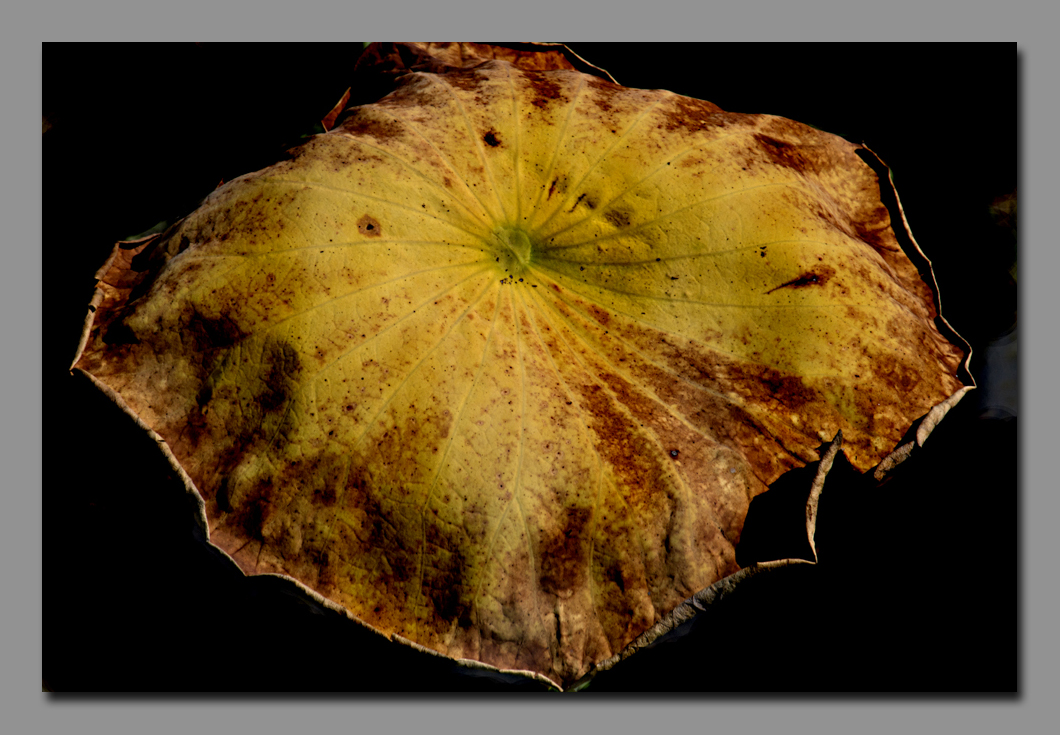 046