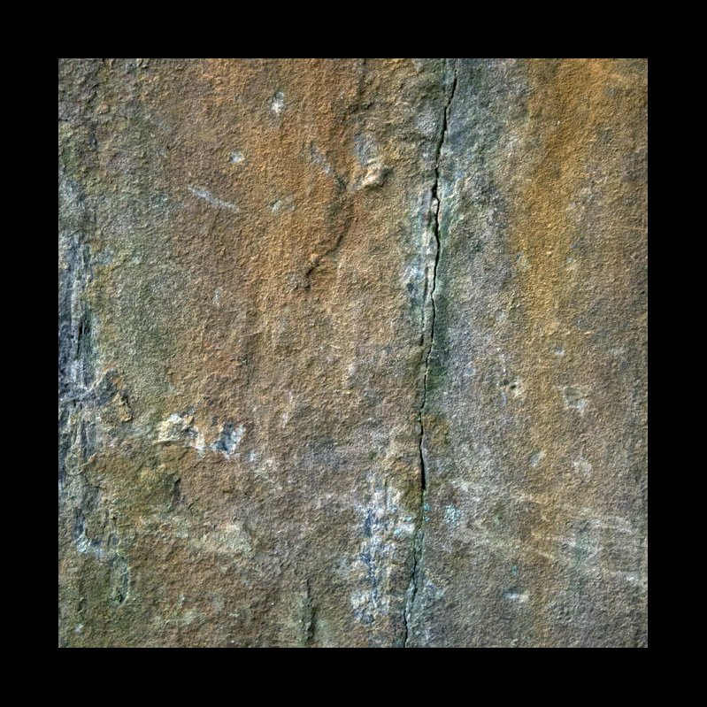 041