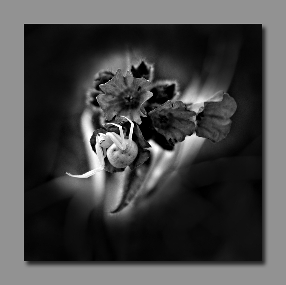094
